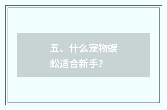 五、什么宠物蜈蚣适合新手？