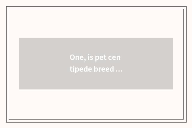 One, is pet centipede breed recommended?