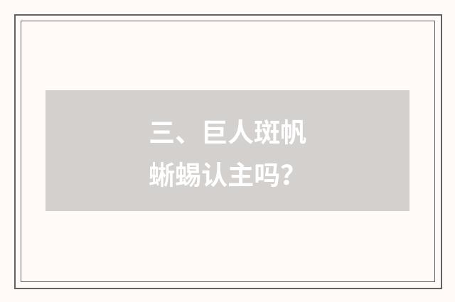 三、巨人斑帆蜥蜴认主吗?