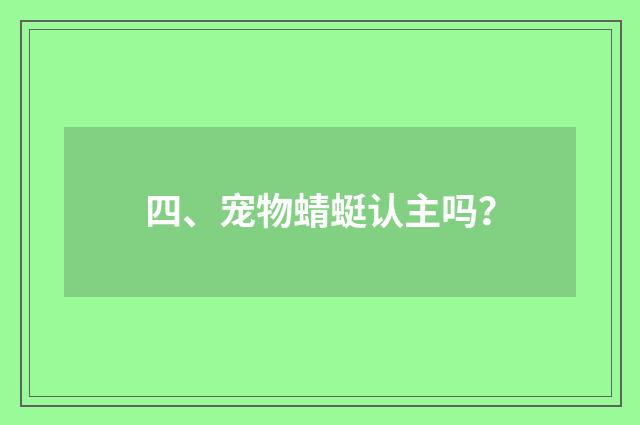 四、宠物蜻蜓认主吗？