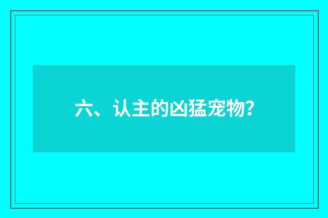 六、认主的凶猛宠物?