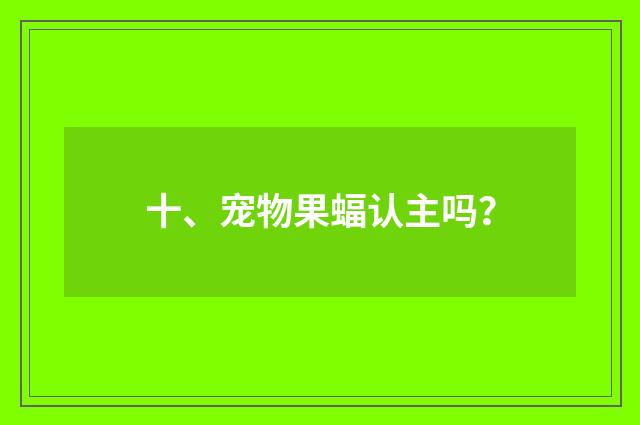 十、宠物果蝠认主吗?