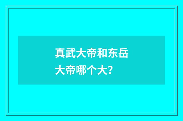 真武大帝和东岳大帝哪个大？