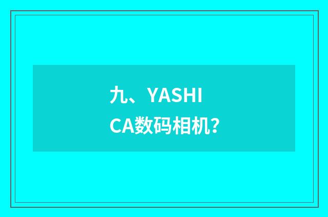 九、YASHICA数码相机?