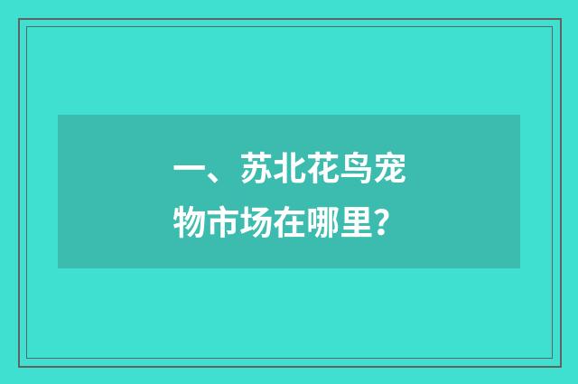 一、苏北花鸟宠物市场在哪里?