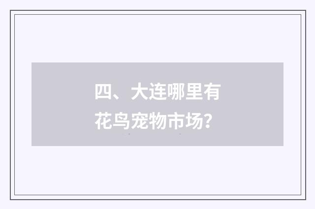 四、大连哪里有花鸟宠物市场?