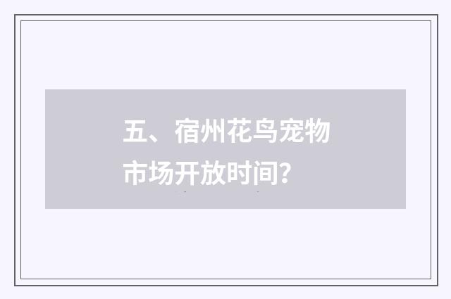 五、宿州花鸟宠物市场开放时间？