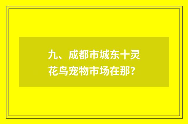 九、成都市城东十灵花鸟宠物市场在那？