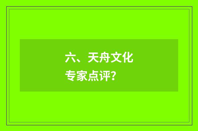 六、天舟文化专家点评？