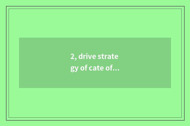 2, drive strategy of cate of smooth goose city?