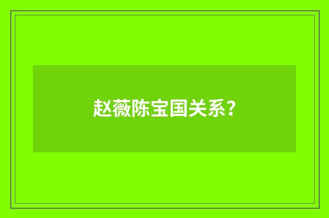 赵薇陈宝国关系?