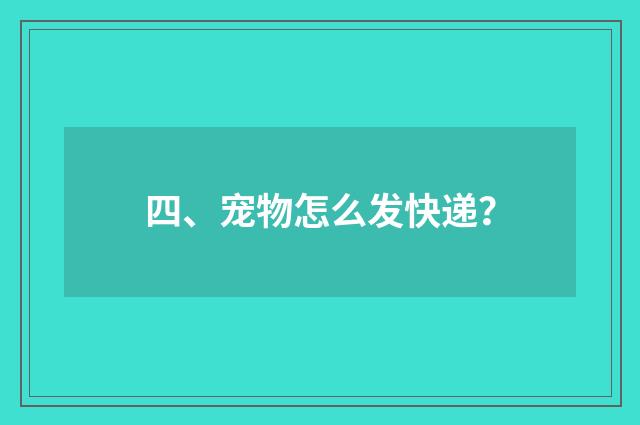四、宠物怎么发快递?