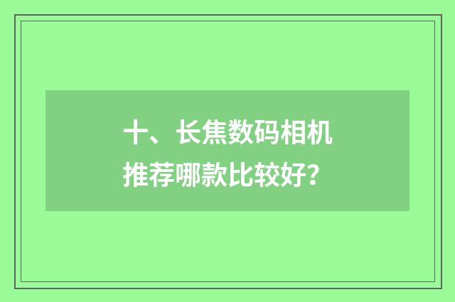 十、长焦数码相机推荐哪款比较好？