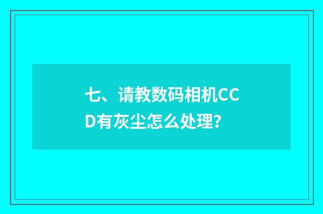 七、请教数码相机CCD有灰尘怎么处理?