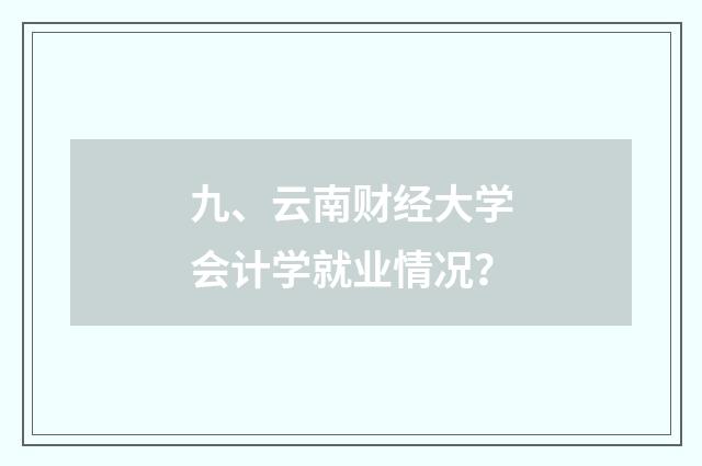 九、云南财经大学会计学就业情况?