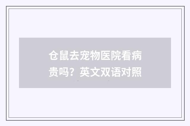 仓鼠去宠物医院看病贵吗?英文双语对照