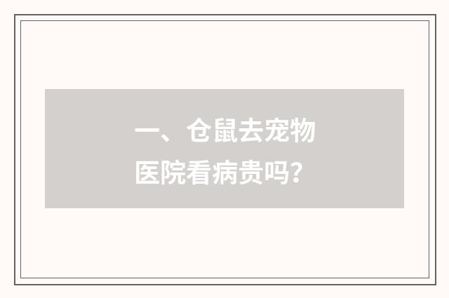 一、仓鼠去宠物医院看病贵吗?
