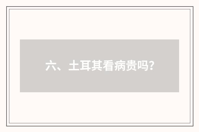 六、土耳其看病贵吗？