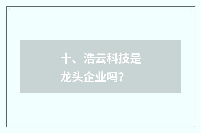 十、浩云科技是龙头企业吗?