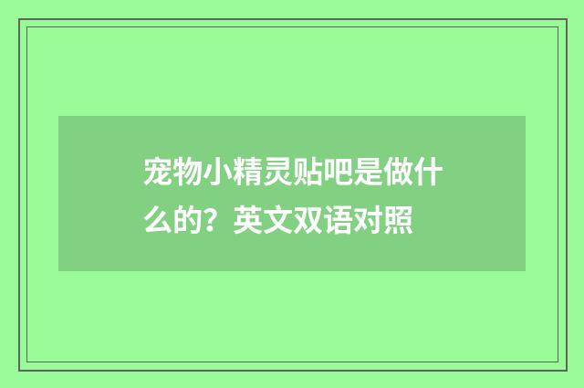 宠物小精灵贴吧是做什么的?英文双语对照