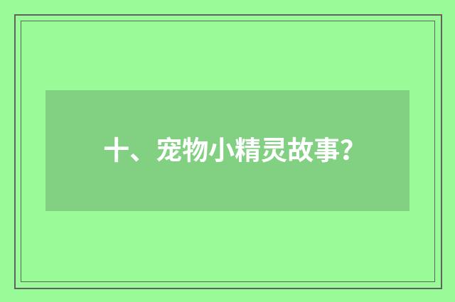 十、宠物小精灵故事？