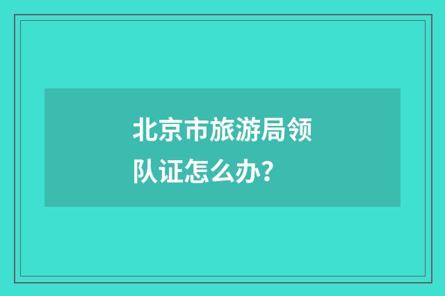 北京市旅游局领队证怎么办?