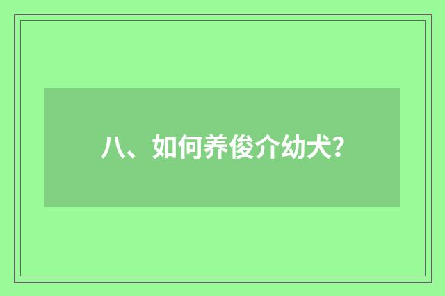 八、如何养俊介幼犬?