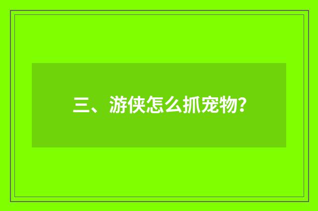 三、游侠怎么抓宠物?