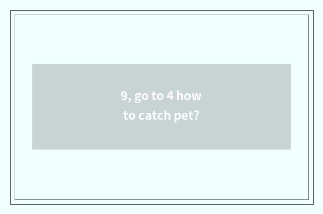 9, go to 4 how to catch pet?