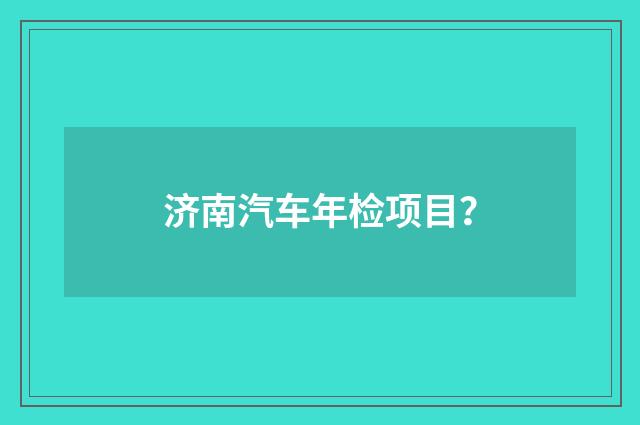 济南汽车年检项目?