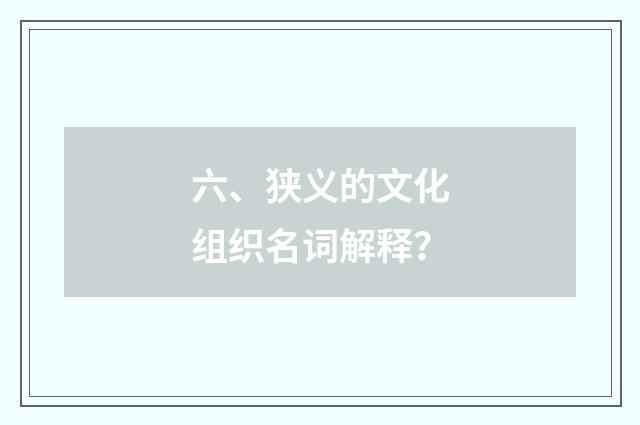 六、狭义的文化组织名词解释?