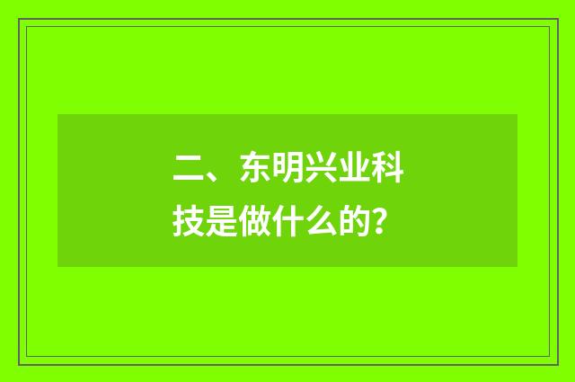 二、东明兴业科技是做什么的?