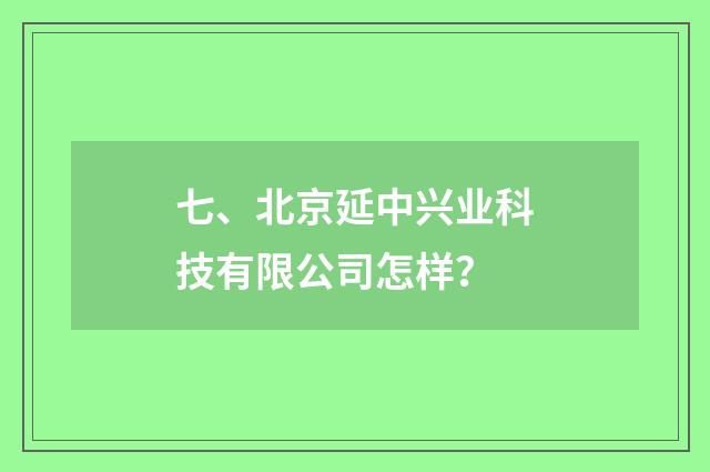 七、北京延中兴业科技有限公司怎样?