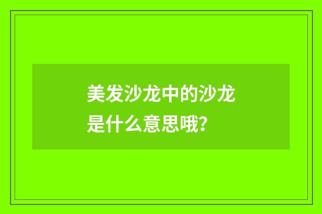 美发沙龙中的沙龙是什么意思哦?