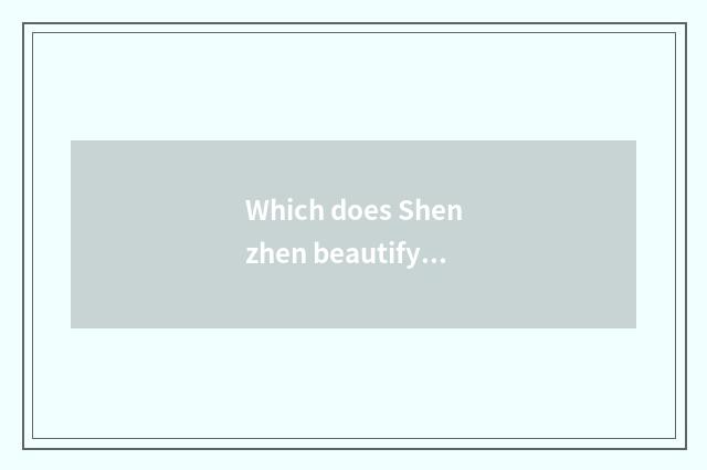 Which does Shenzhen beautify hair is salon cut hair cut well?