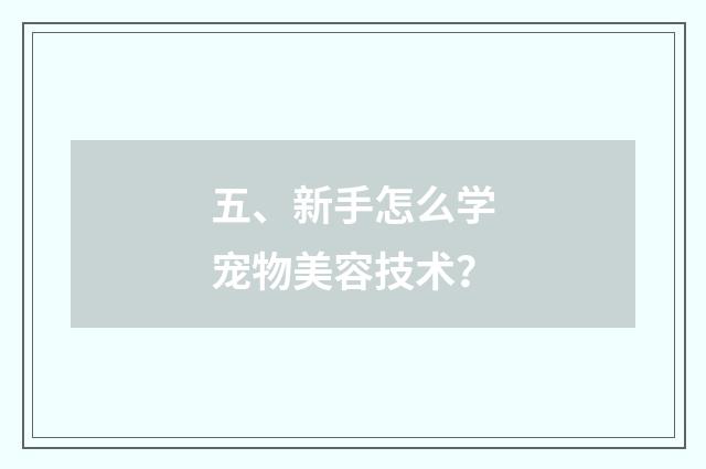 五、新手怎么学宠物美容技术？