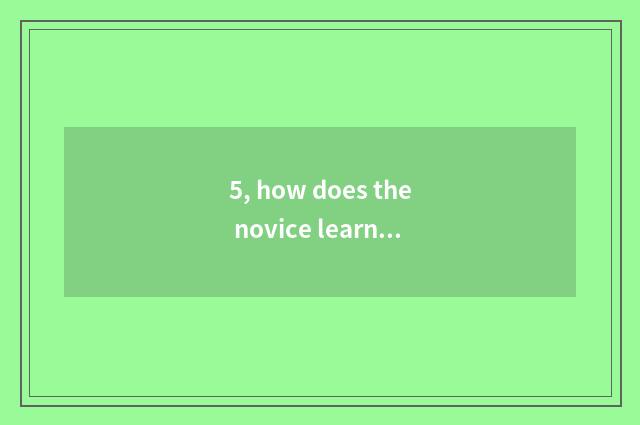 5, how does the novice learn pet hairdressing skill?