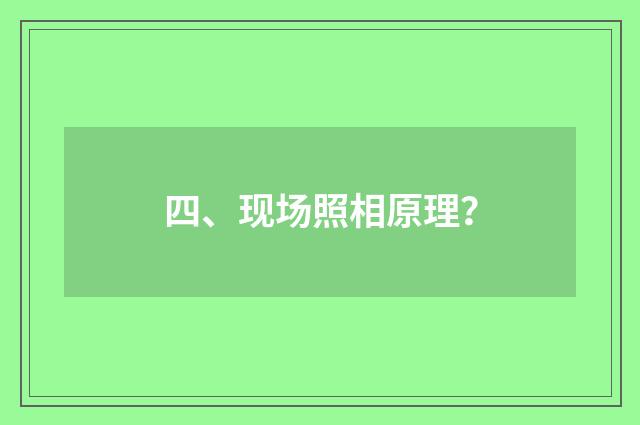四、现场照相原理？