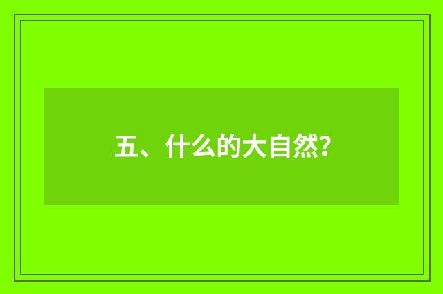 五、什么的大自然?