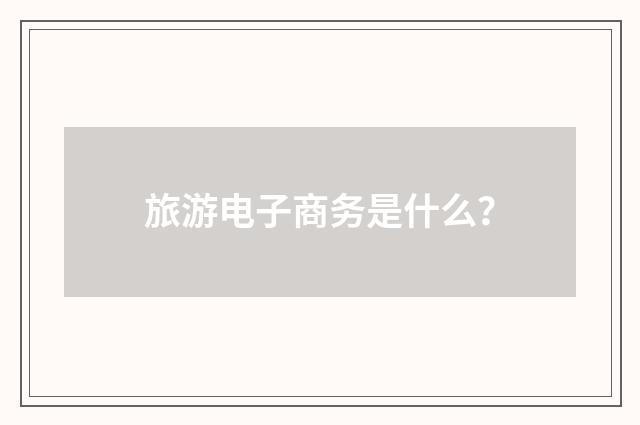 旅游电子商务是什么？