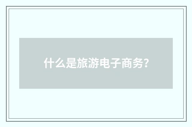 什么是旅游电子商务?