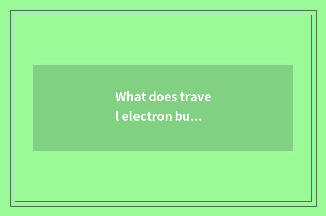 What does travel electron business affairs do?