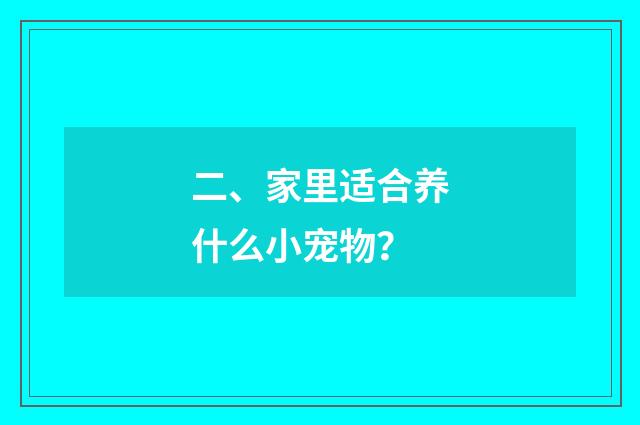 二、家里适合养什么小宠物?