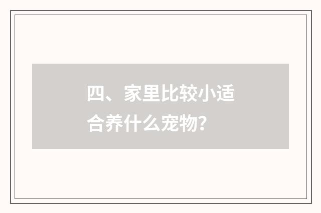 四、家里比较小适合养什么宠物?