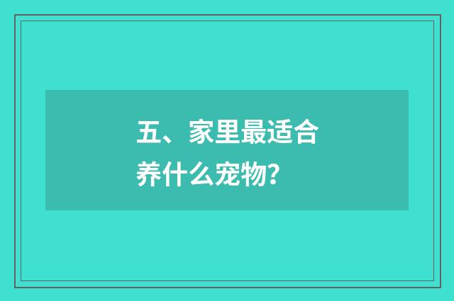 五、家里最适合养什么宠物?