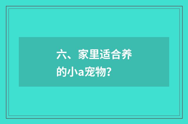 六、家里适合养的小a宠物?