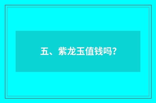 五、紫龙玉值钱吗?