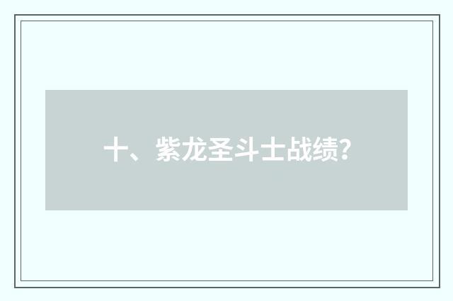 十、紫龙圣斗士战绩?