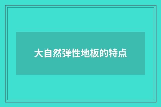 大自然弹性地板的特点