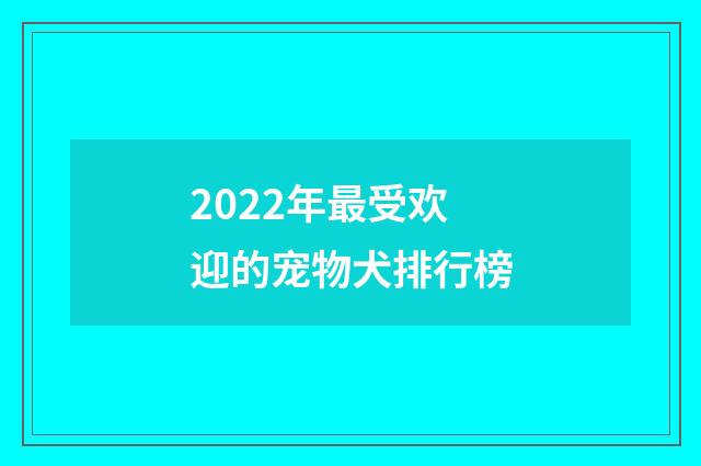 2022年最受欢迎的宠物犬排行榜